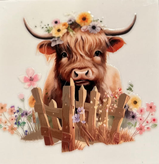 Cow #1810