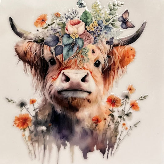 Cow #1805